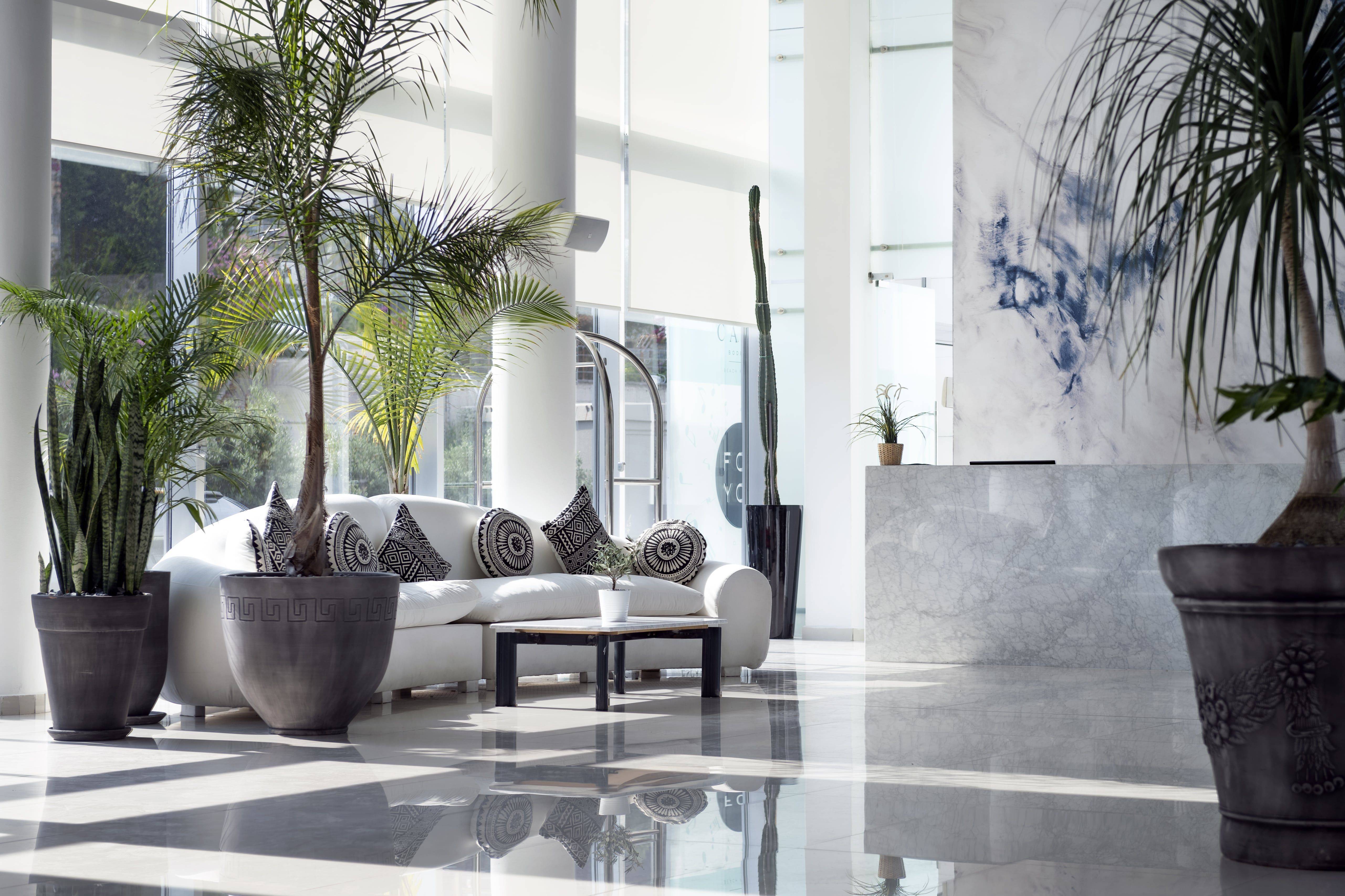 Cape Bodrum Beach Resort, Muğla, Bodrum, 33879